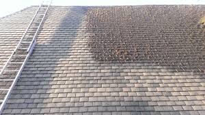 Roof cleaning Camberley