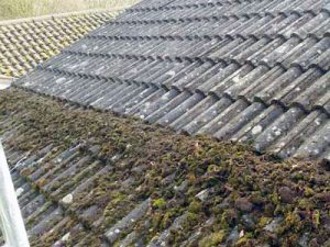 roof cleaning Bracknell