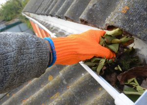 Roof cleaning Crowthorn