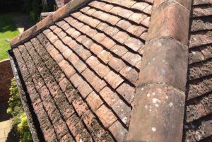 Roof Cleaning Sunningdale
