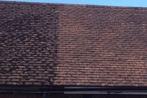 Roof cleaning Sunninghill