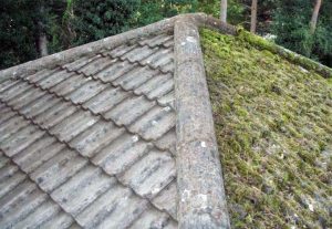 Roof cleaning Gerrards Cross