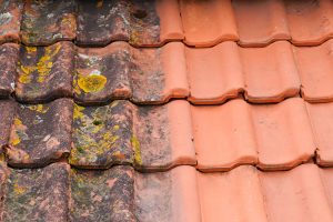 roof cleaning Bagshot